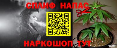PSILOCYBIN Славянск-на-Кубани